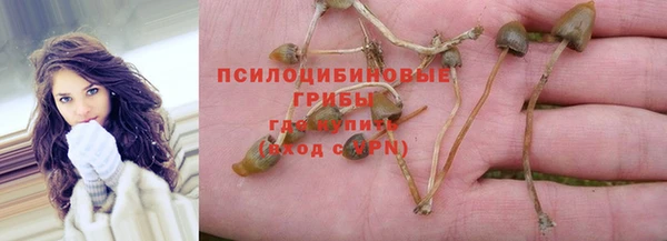 ALPHA PVP Пролетарск