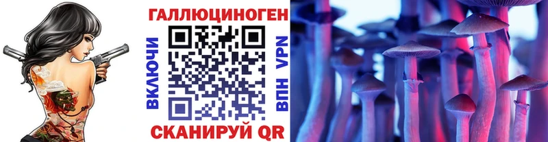 Псилоцибиновые грибы Psilocybe  Муром 